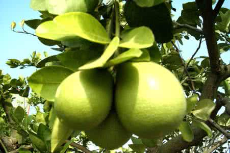 开云真人娱乐平台案例展示一