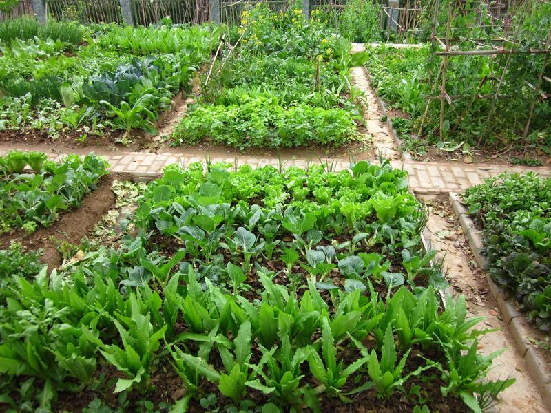 开云真人娱乐平台案例展示五